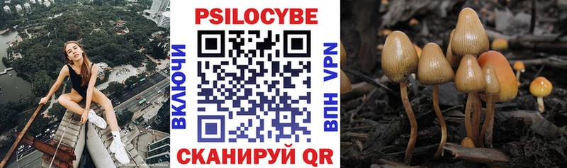 Галлюциногенные грибы Cubensis  Нариманов 